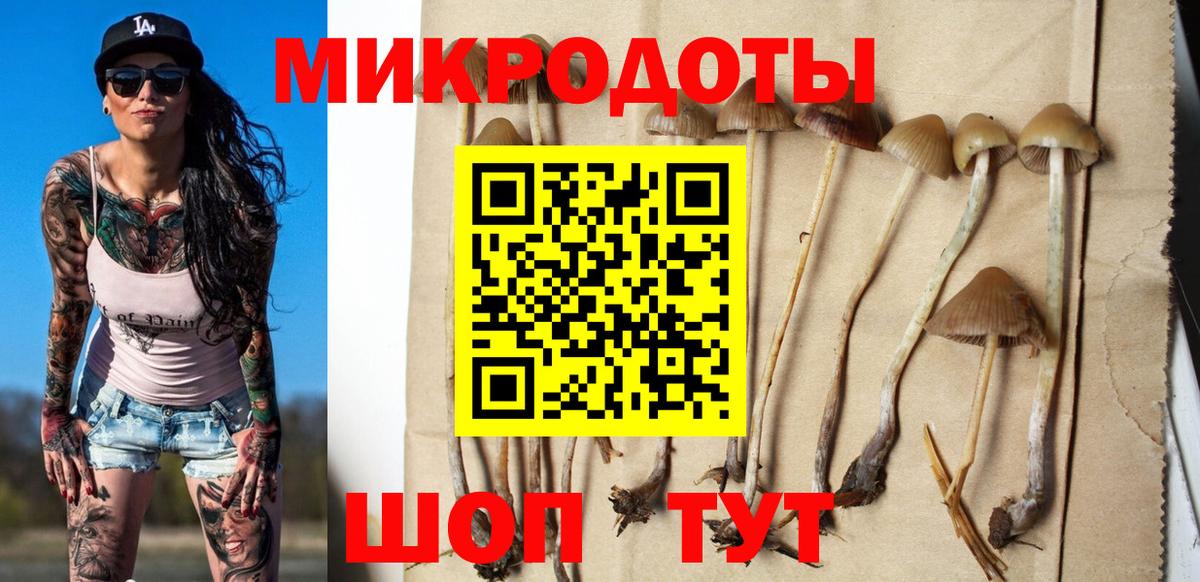 Галлюциногенные грибы Cubensis  Галлюциногенные грибы прущие грибы  купить наркотик  Вход с VPN  Партизанск 